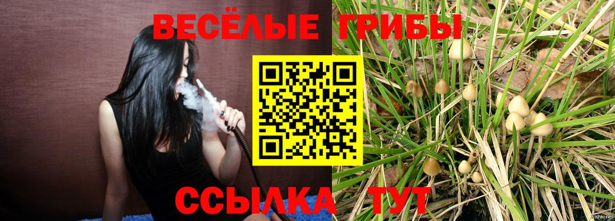 Щёлково  Псилоцибиновые грибы Cubensis  Вход с VPN 